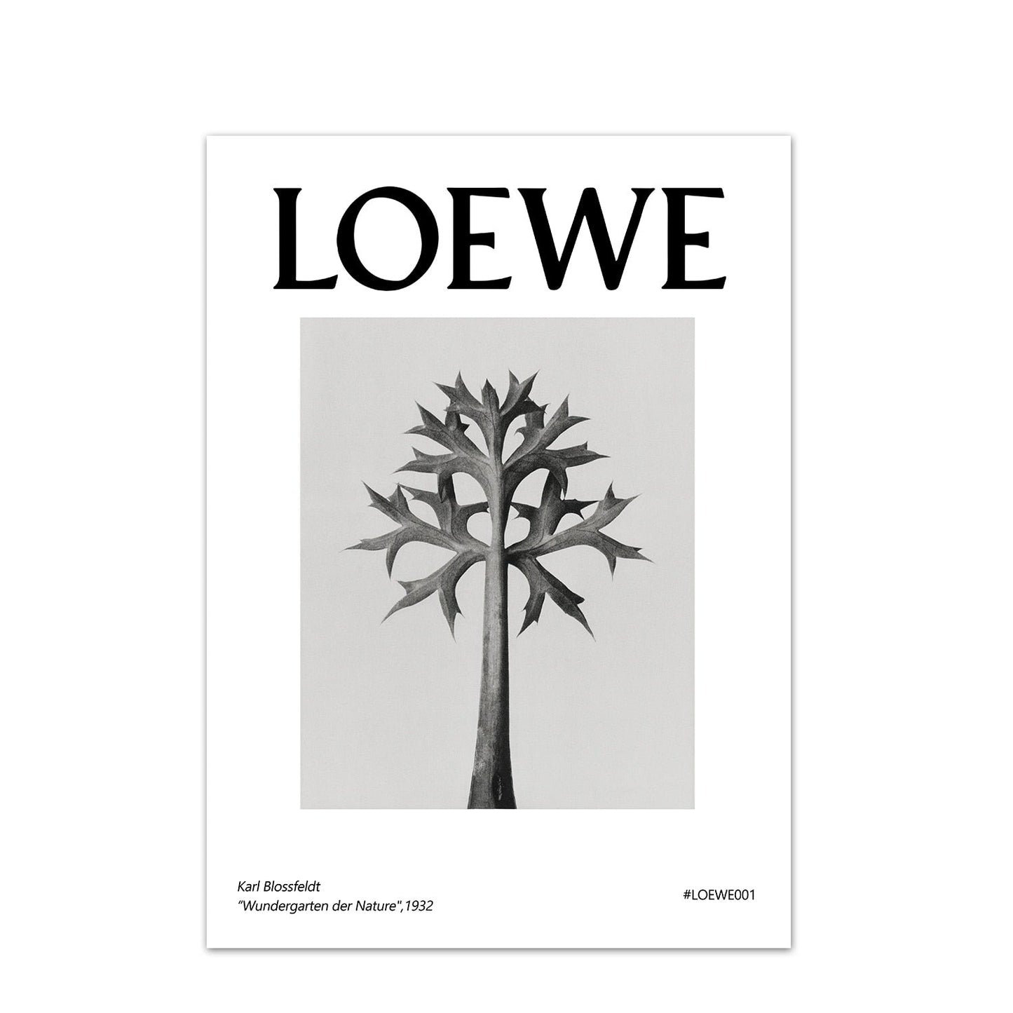 LOEWE Stampe da collezione - The Trophy Wife