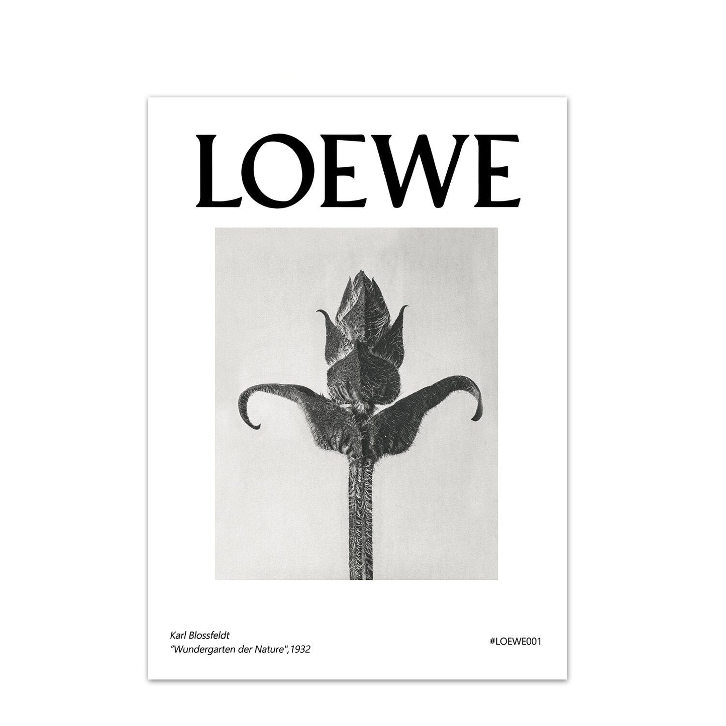 LOEWE Stampe da collezione - The Trophy Wife