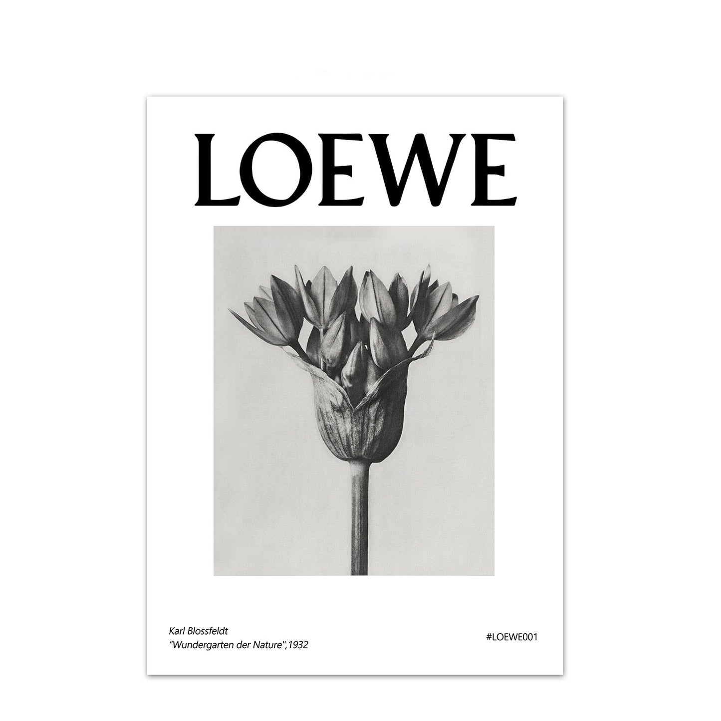 LOEWE Stampe da collezione - The Trophy Wife