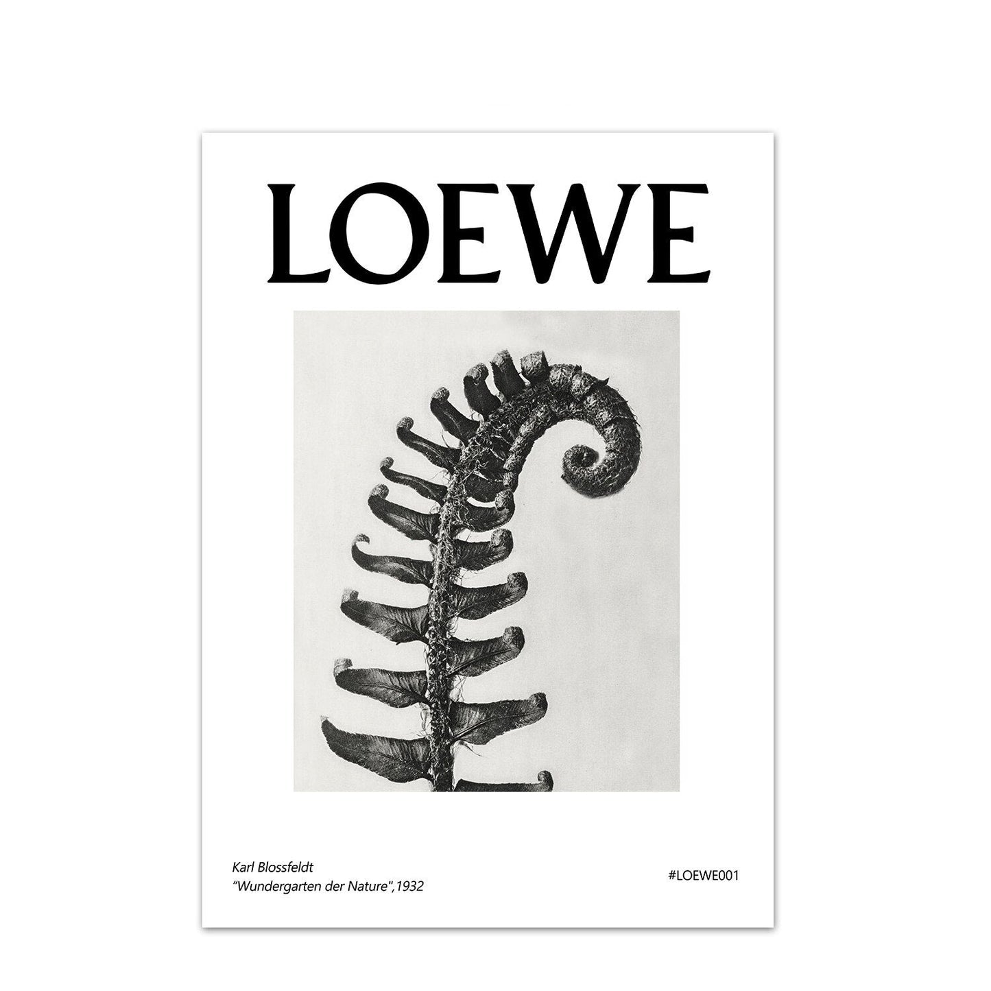 LOEWE Stampe da collezione - The Trophy Wife