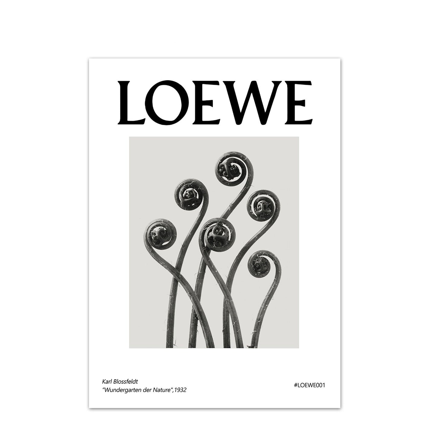 LOEWE Stampe da collezione - The Trophy Wife