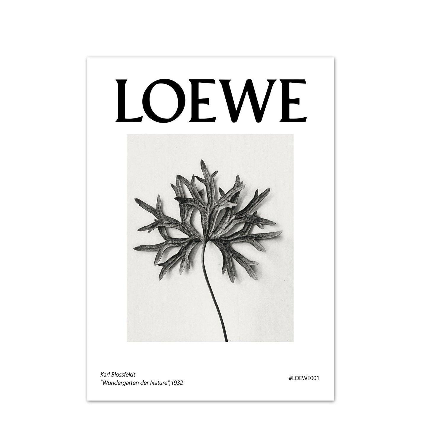 LOEWE Stampe da collezione - The Trophy Wife