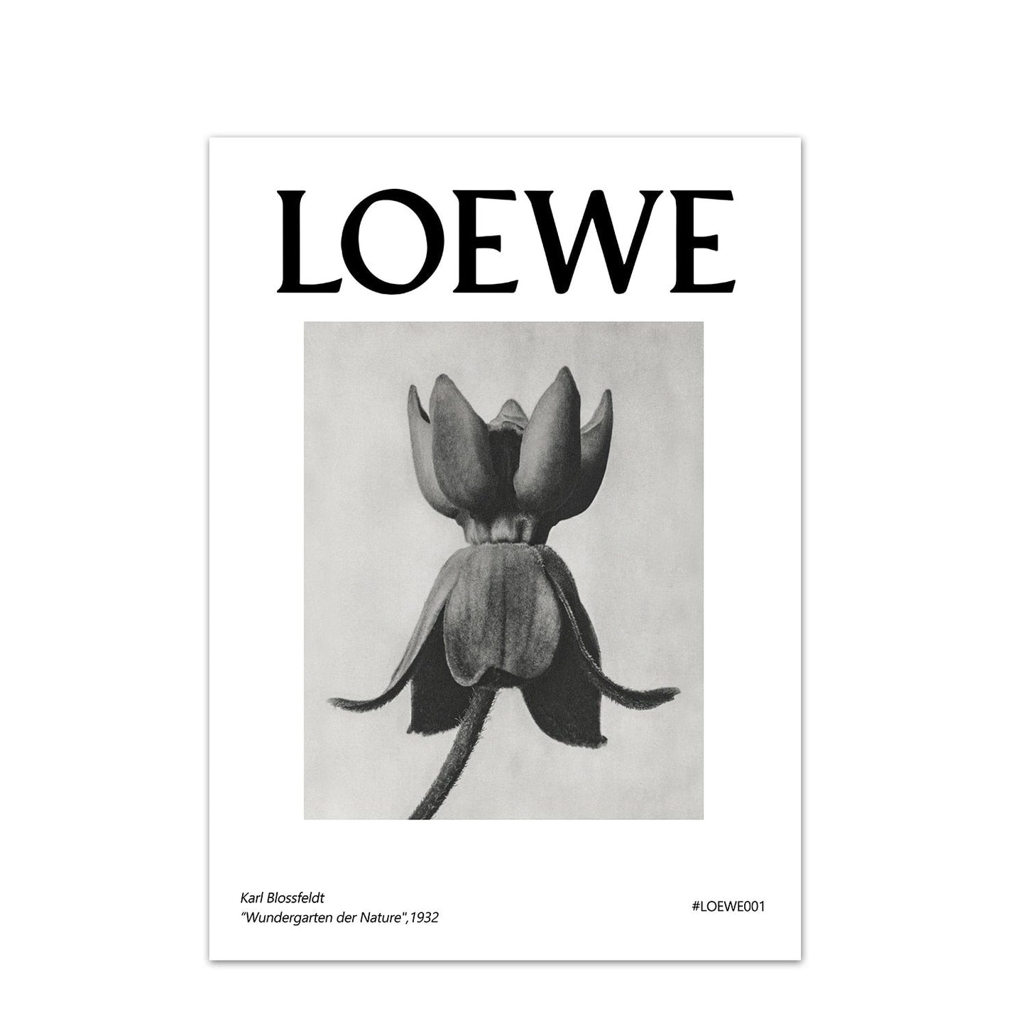 LOEWE Stampe da collezione - The Trophy Wife