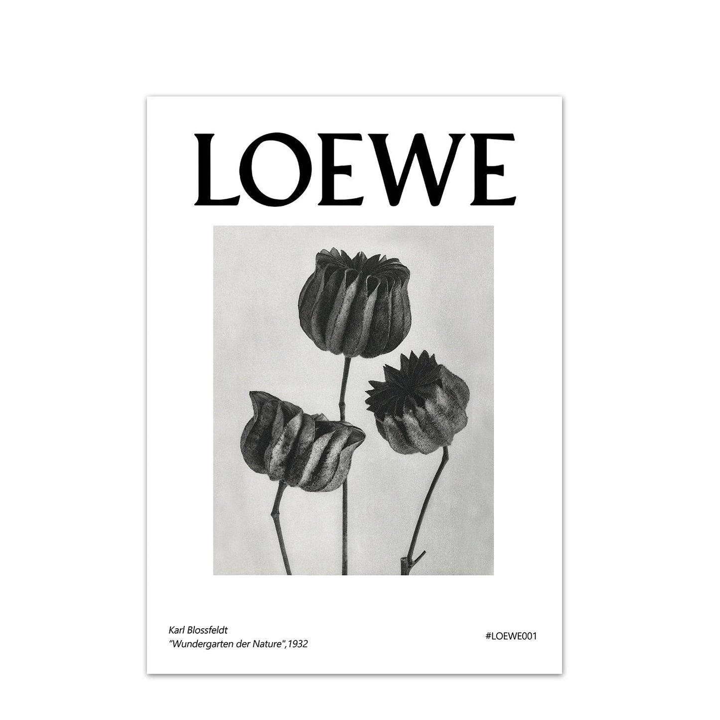 LOEWE Stampe da collezione - The Trophy Wife